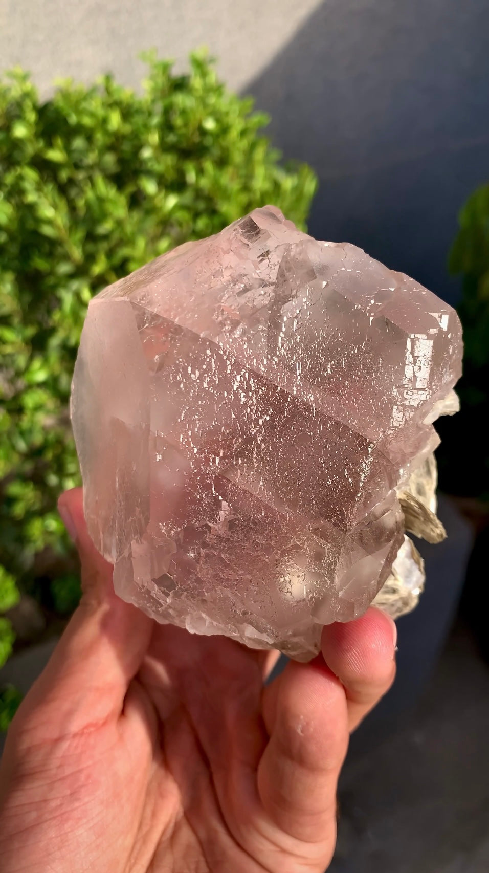Pink Fluorite crystal With Mica, Fluorite Specimen from Pakistan - 741 Gram