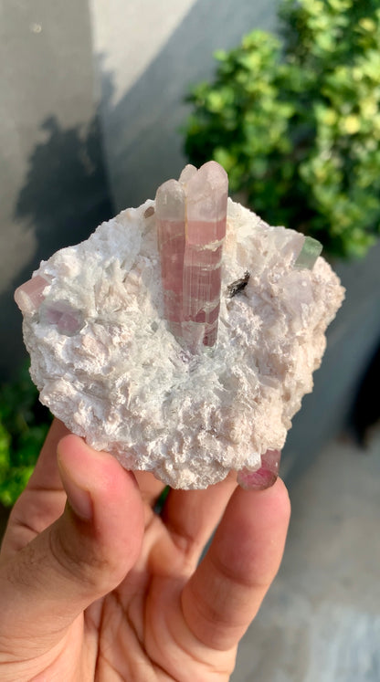 Bi-color Tourmaline on Matrix Afghanistan - 157 grams