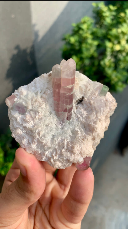 Bi-color Tourmaline on Matrix Afghanistan - 157 grams