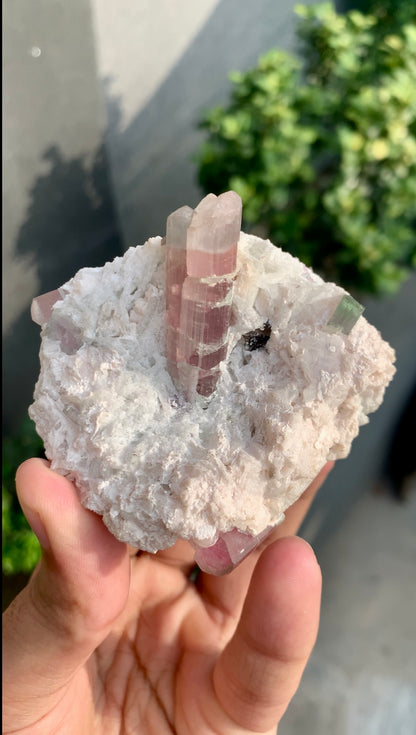 Bi-color Tourmaline on Matrix Afghanistan - 157 grams