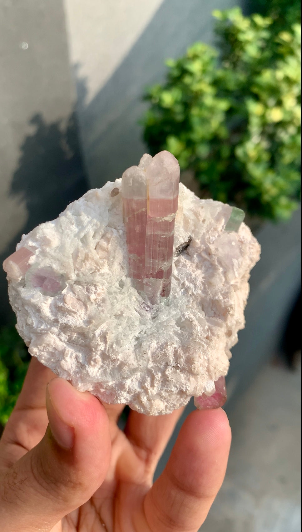 Bi-color Tourmaline on Matrix Afghanistan - 157 grams