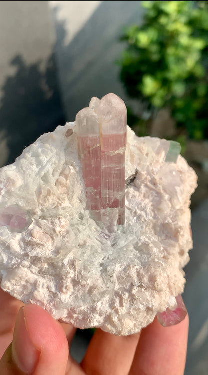 Bi-color Tourmaline on Matrix Afghanistan - 157 grams