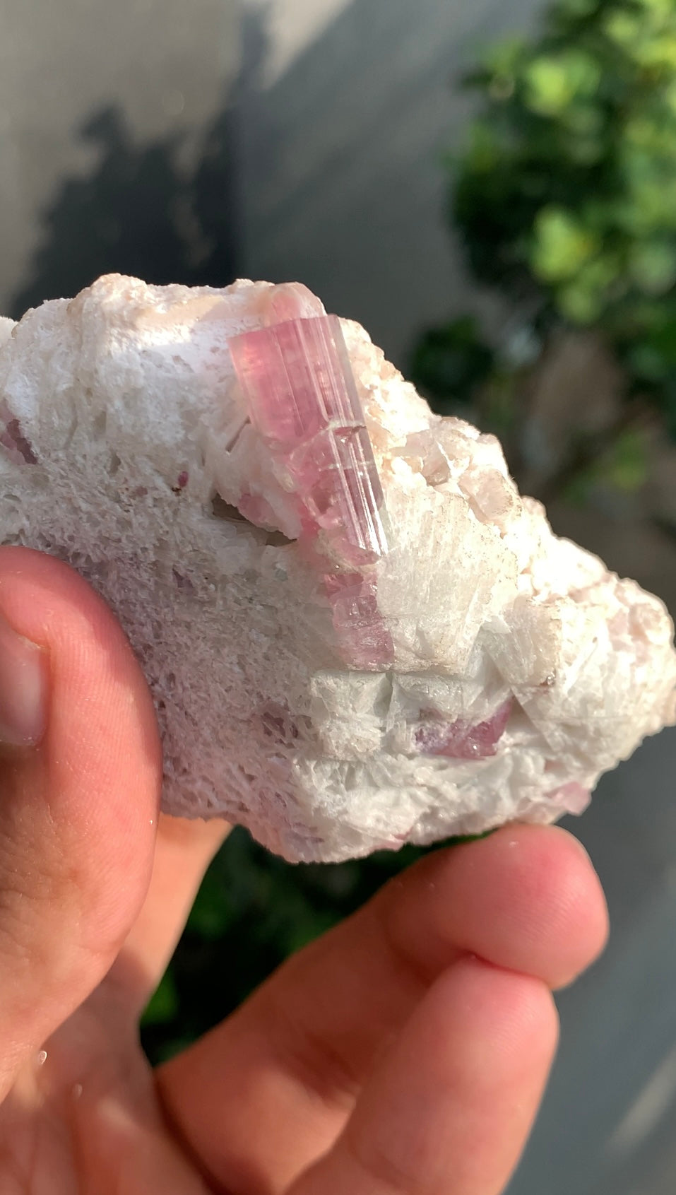 Bi-color Tourmaline on Matrix Afghanistan - 157 grams