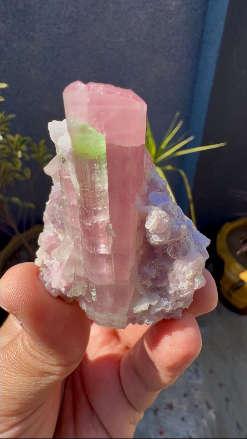 Bicolor Tourmaline with Pink Lepidolite from Afghanistan - 78 grams
