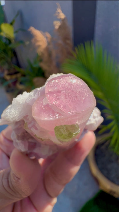 Bicolor Tourmaline with Pink Lepidolite from Afghanistan - 78 grams