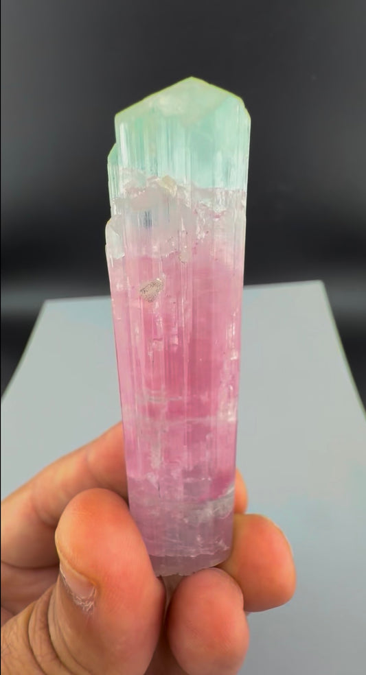 Bicolor Tourmaline Crystal from Afghanistan - 39 Grams
