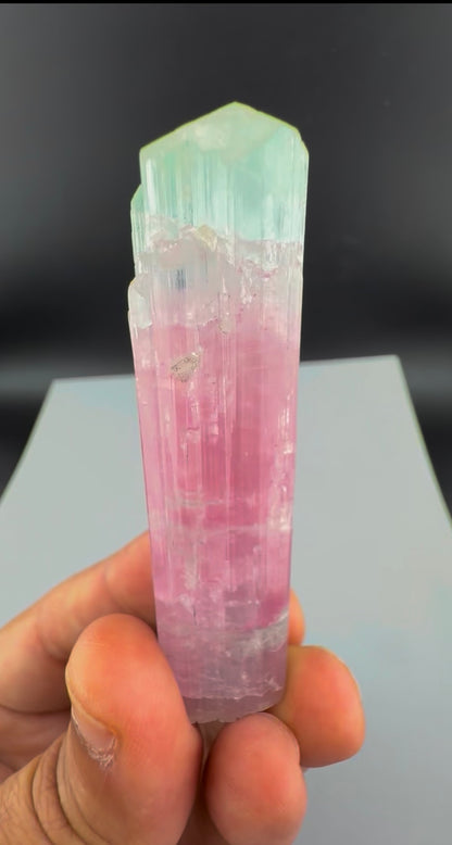 Bicolor Tourmaline Crystal from Afghanistan - 39 Grams