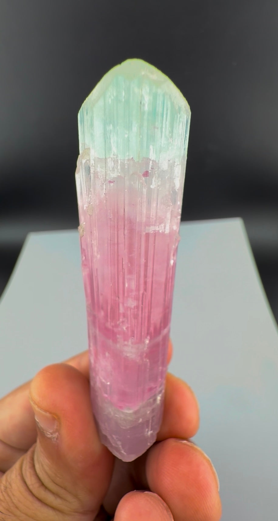 Bicolor Tourmaline Crystal from Afghanistan - 39 Grams