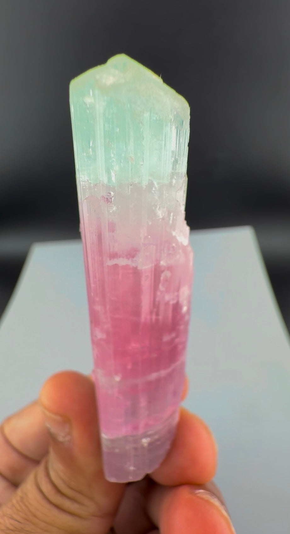 Bicolor Tourmaline Crystal from Afghanistan - 39 Grams