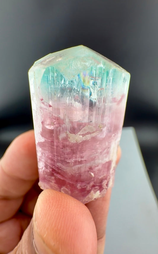 Bicolor Tourmaline Crystal from Afghanistan - 34 Grams