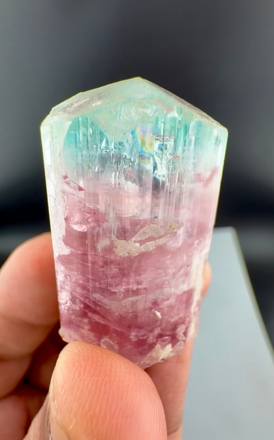 Bicolor Tourmaline Crystal from Afghanistan - 34 Grams