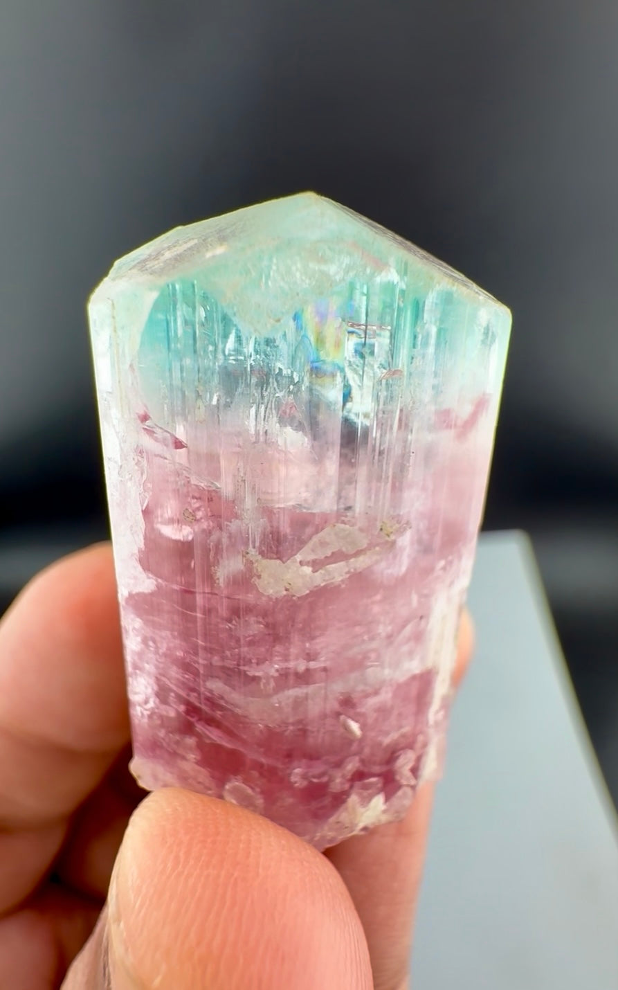 Bicolor Tourmaline Crystal from Afghanistan - 34 Grams