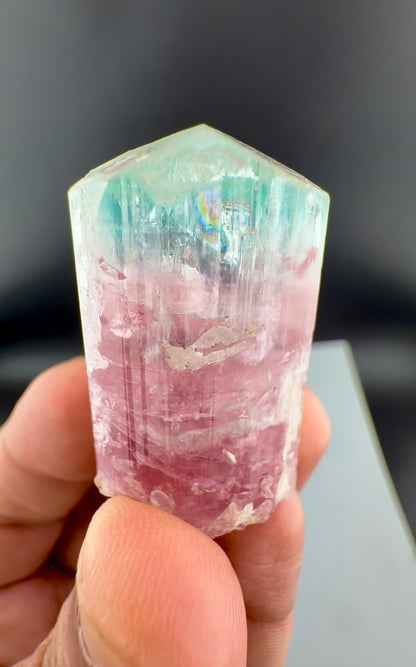 Bicolor Tourmaline Crystal from Afghanistan - 34 Grams