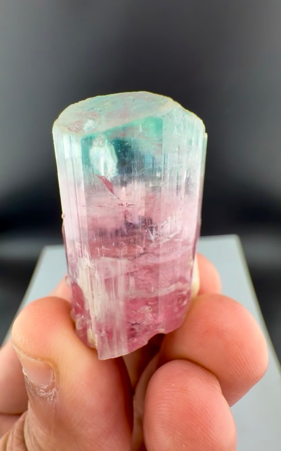 Bicolor Tourmaline Crystal from Afghanistan - 34 Grams
