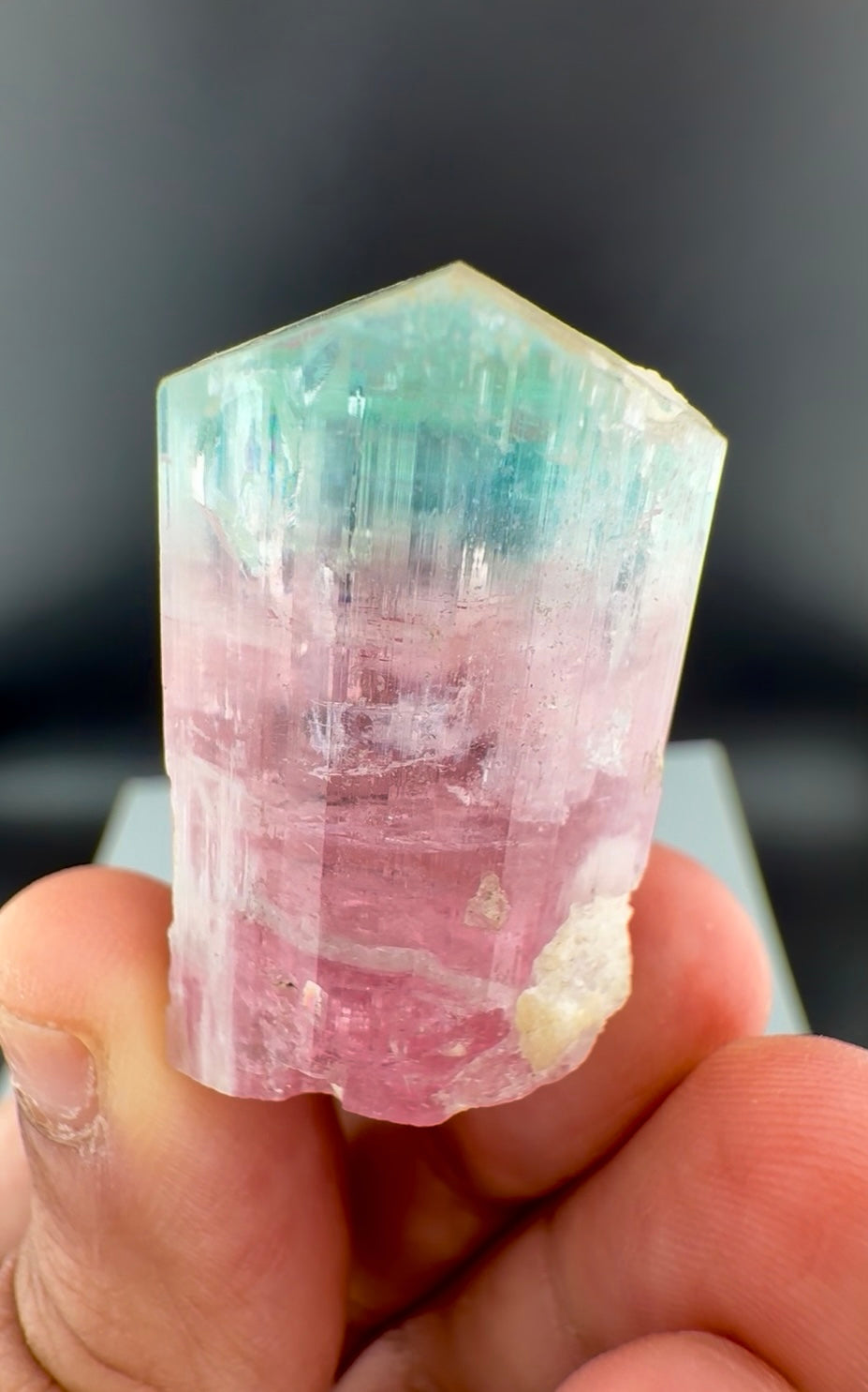 Bicolor Tourmaline Crystal from Afghanistan - 34 Grams