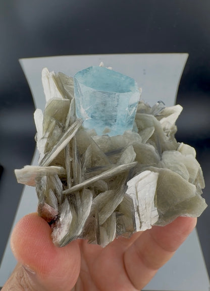 Aquamarine Crystals on Muscovite Mica From Pakistan - 164 Grams