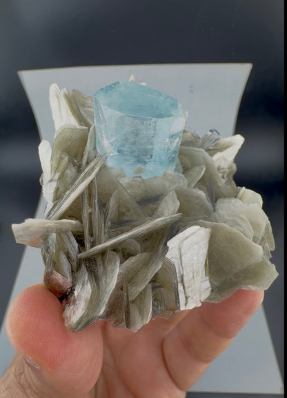 Aquamarine Crystals on Muscovite Mica From Pakistan - 164 Grams