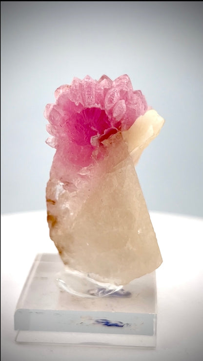 Crystallized Pink Rose Quartz on Matrix from Afghanistan - 36.4 Grams
