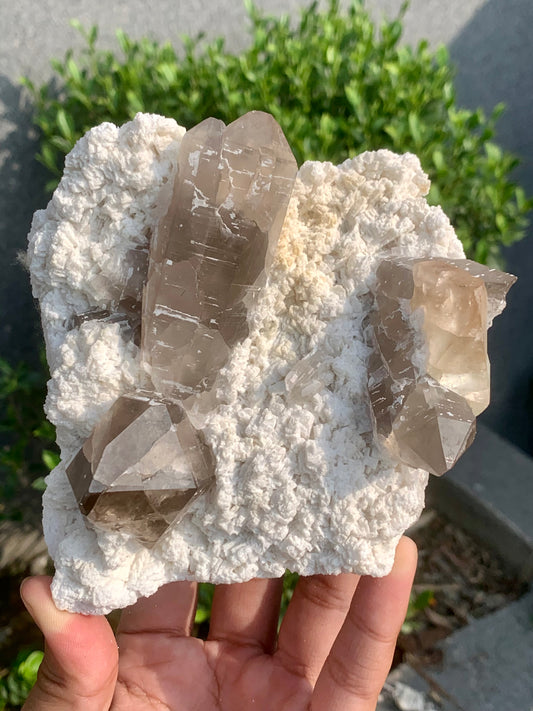 Golden Topaz With Smokey Quartz On Matrix From Pakistan - 888 Gram