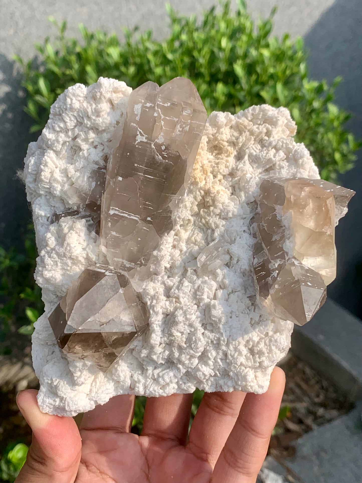 Golden Topaz With Smokey Quartz On Matrix From Pakistan - 888 Gram