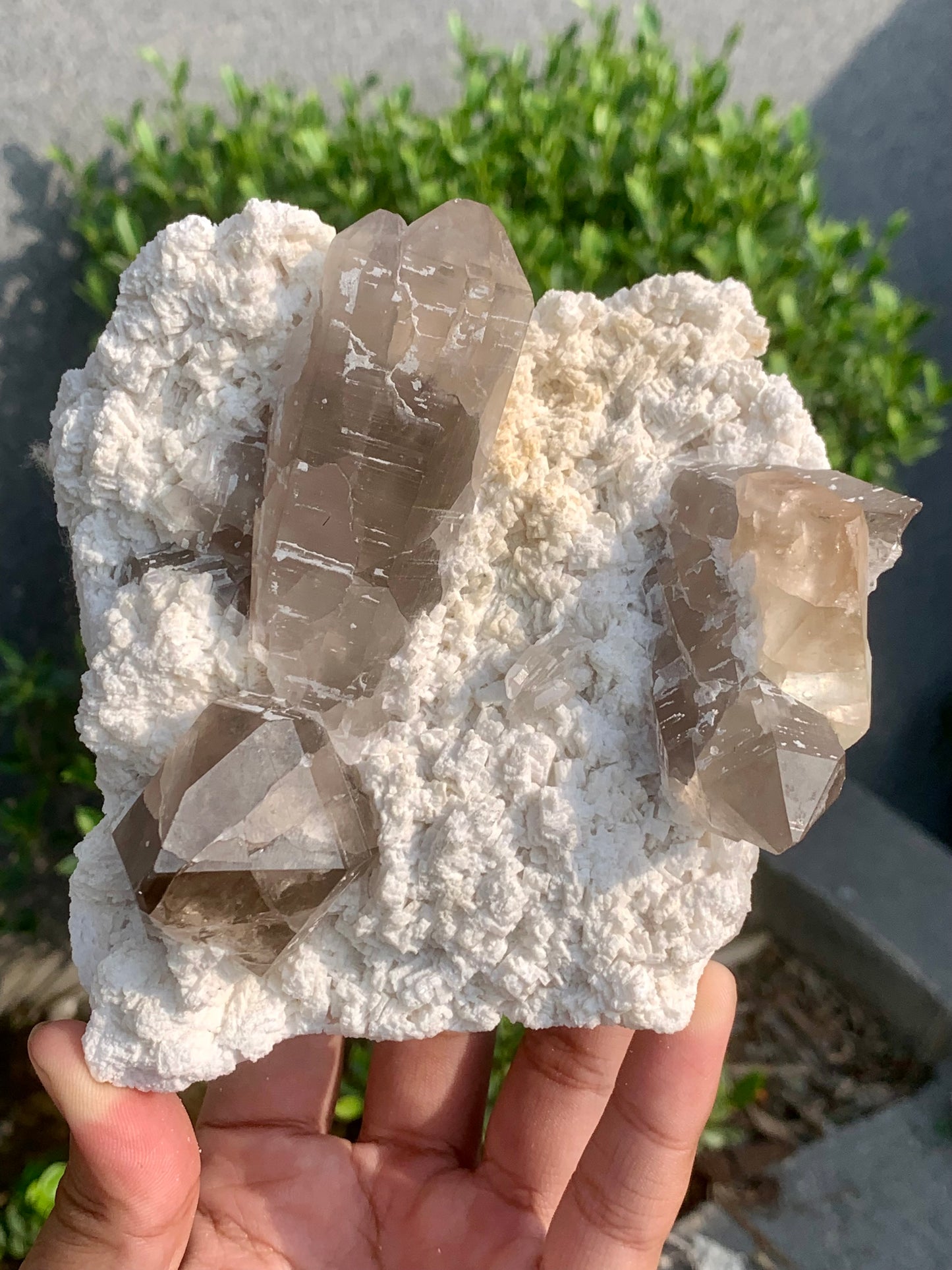 Golden Topaz With Smokey Quartz On Matrix From Pakistan - 888 Gram