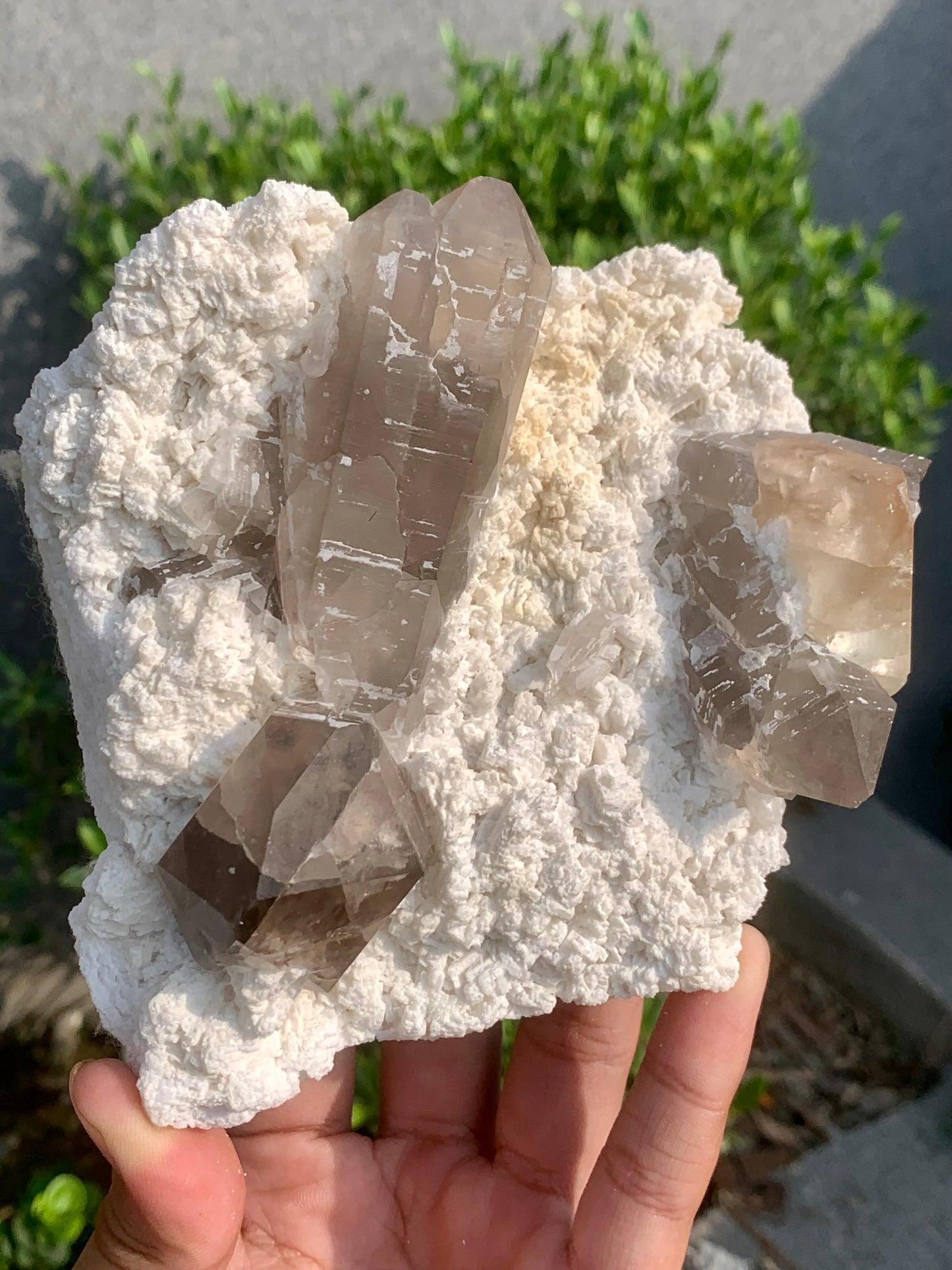Golden Topaz With Smokey Quartz On Matrix From Pakistan - 888 Gram