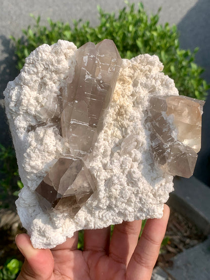 Golden Topaz With Smokey Quartz On Matrix From Pakistan - 888 Gram