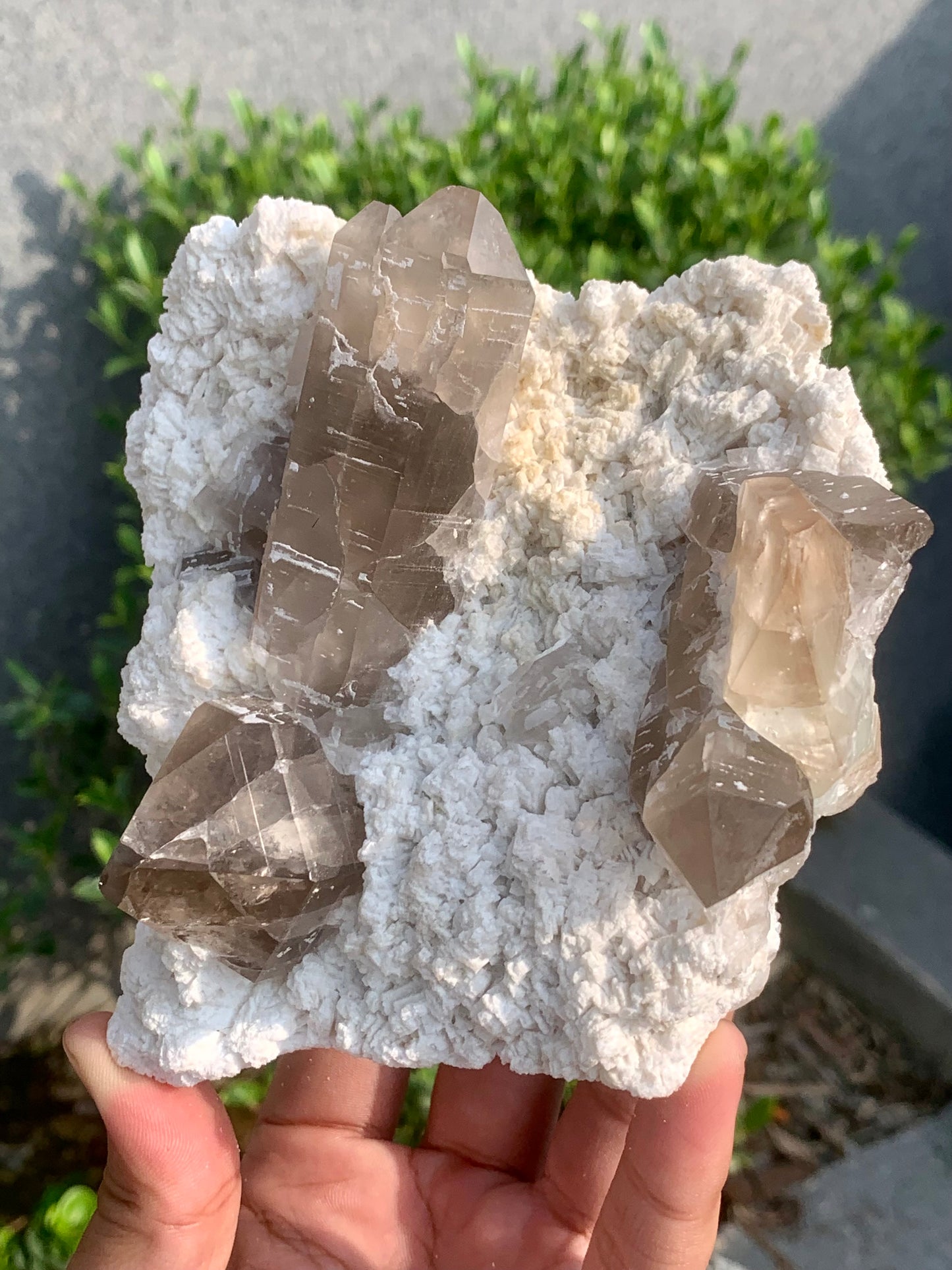 Golden Topaz With Smokey Quartz On Matrix From Pakistan - 888 Gram