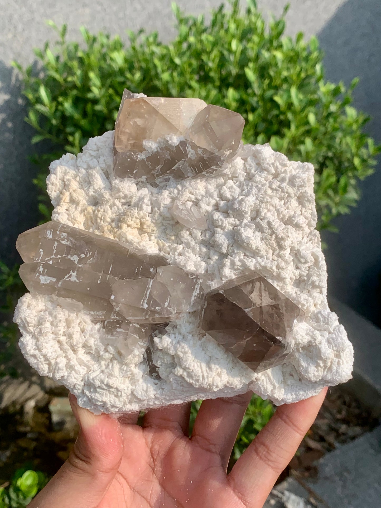 Golden Topaz With Smokey Quartz On Matrix From Pakistan - 888 Gram