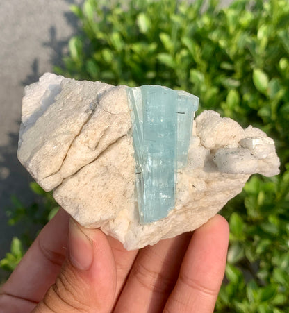 Sky Blue Aquamarine Crystal on Feldspar From Pakistan - 142 Grams