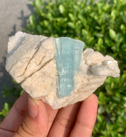 Sky Blue Aquamarine Crystal on Feldspar From Pakistan - 142 Grams
