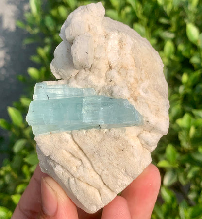 Sky Blue Aquamarine Crystal on Feldspar From Pakistan - 142 Grams