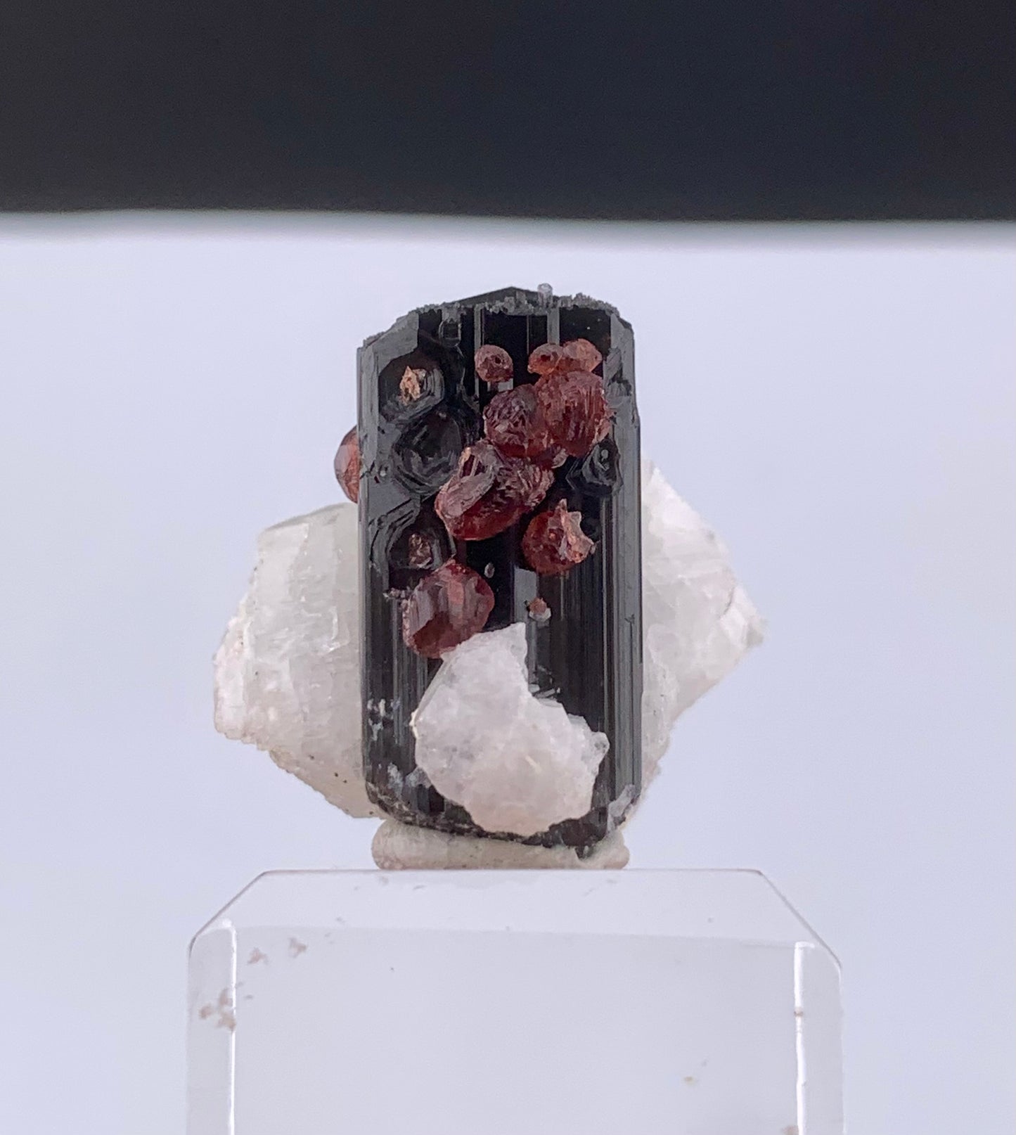 Red Spessertine Garnet Crystals on Schorl Tourmaline From Pakistan - 13 Grams