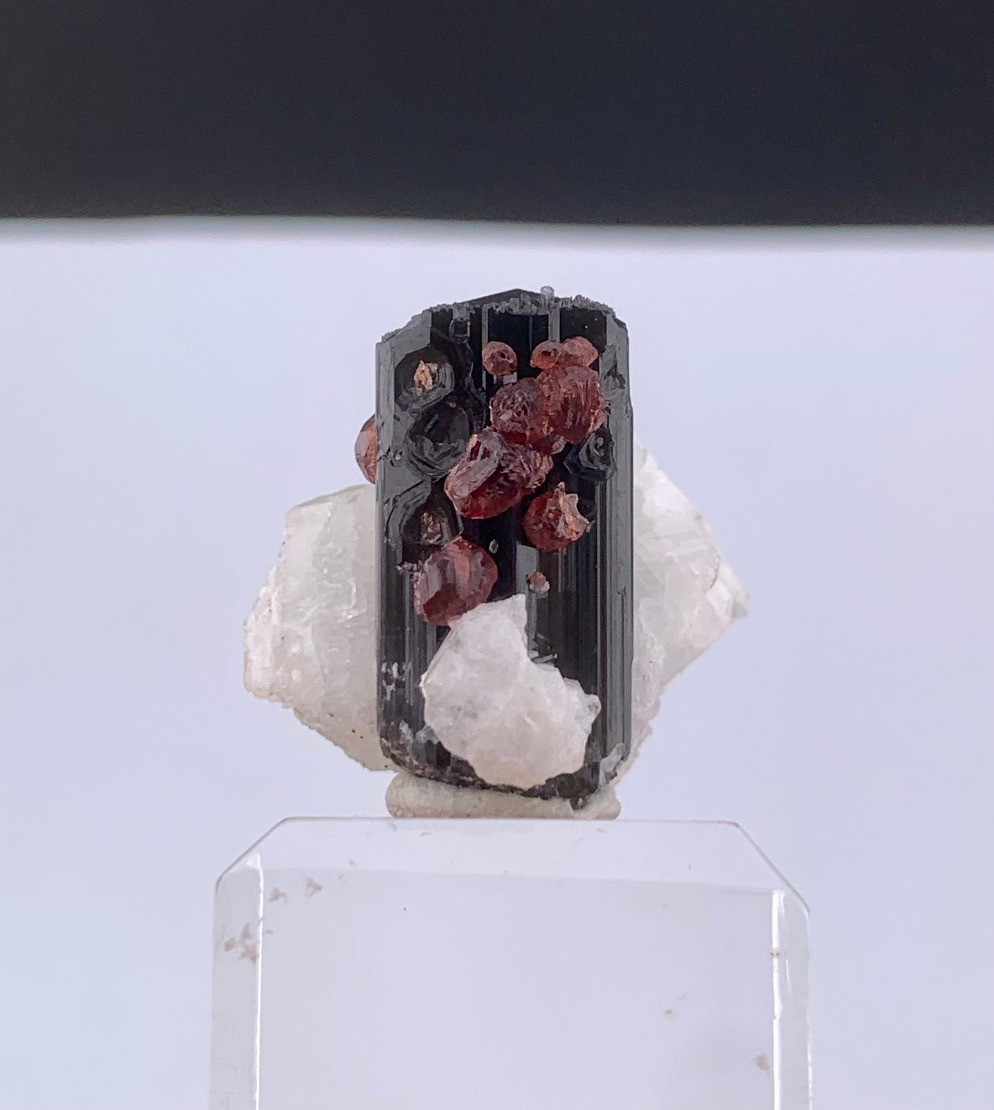Red Spessertine Garnet Crystals on Schorl Tourmaline From Pakistan - 13 Grams