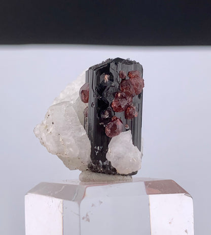 Red Spessertine Garnet Crystals on Schorl Tourmaline From Pakistan - 13 Grams