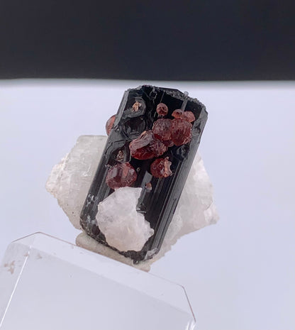Red Spessertine Garnet Crystals on Schorl Tourmaline From Pakistan - 13 Grams