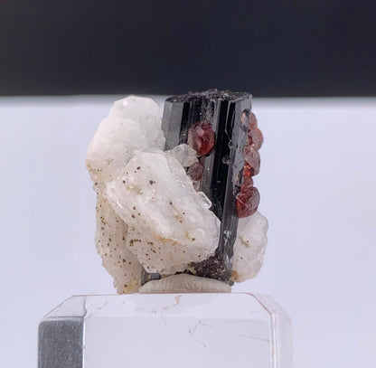 Red Spessertine Garnet Crystals on Schorl Tourmaline From Pakistan - 13 Grams