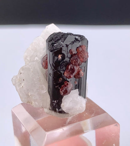 Red Spessertine Garnet Crystals on Schorl Tourmaline From Pakistan - 13 Grams