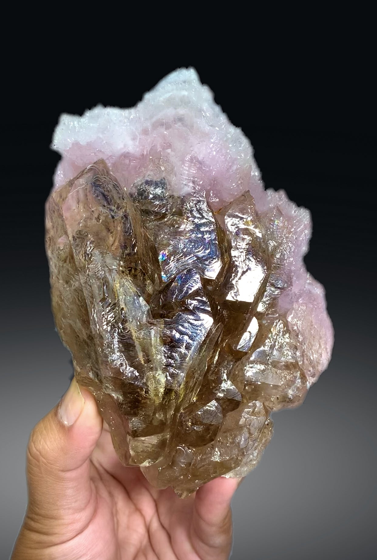 Natural Rose Quartz Strip on Lustrous Elestial Smoky Quartz from Paprok Afghanistan - 760 grams