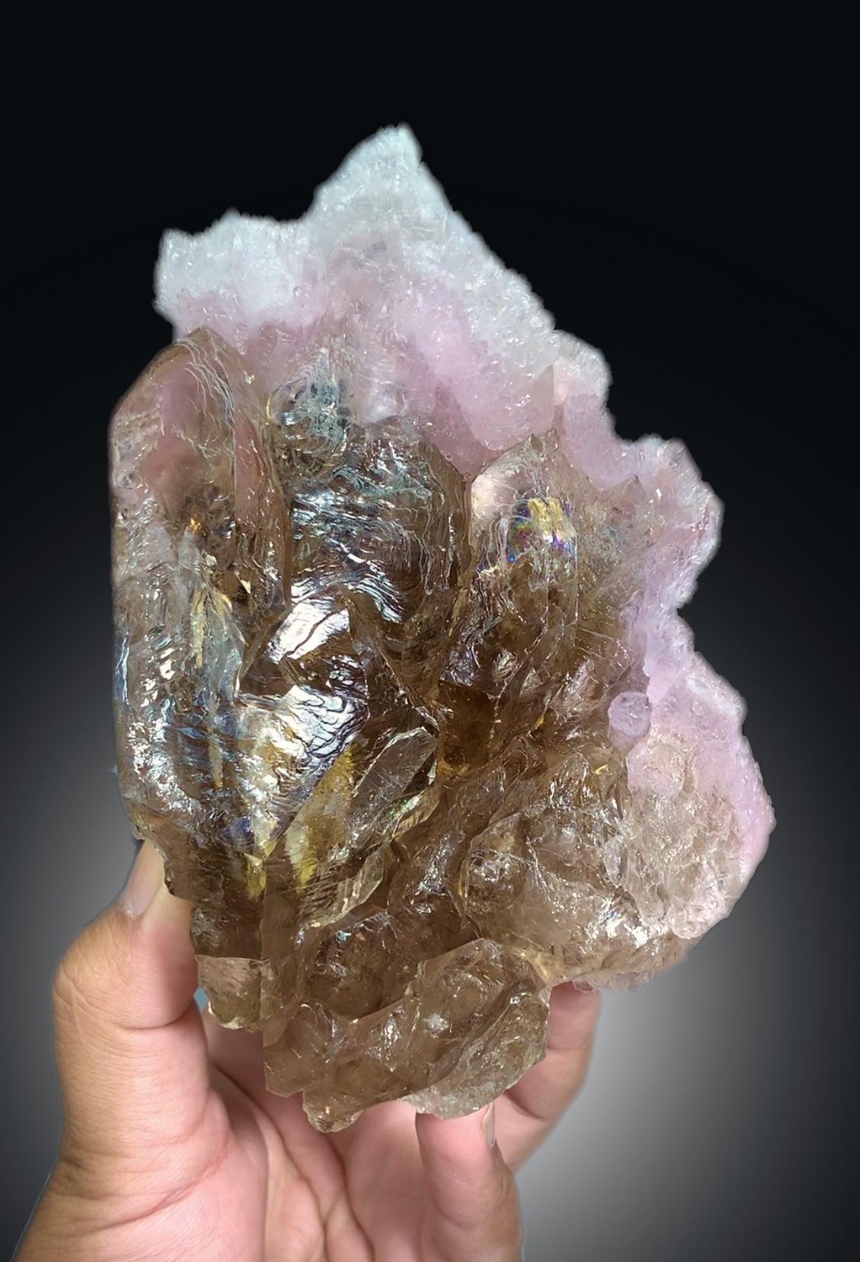 Natural Rose Quartz Strip on Lustrous Elestial Smoky Quartz from Paprok Afghanistan - 760 grams
