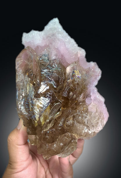 Natural Rose Quartz Strip on Lustrous Elestial Smoky Quartz from Paprok Afghanistan - 760 grams