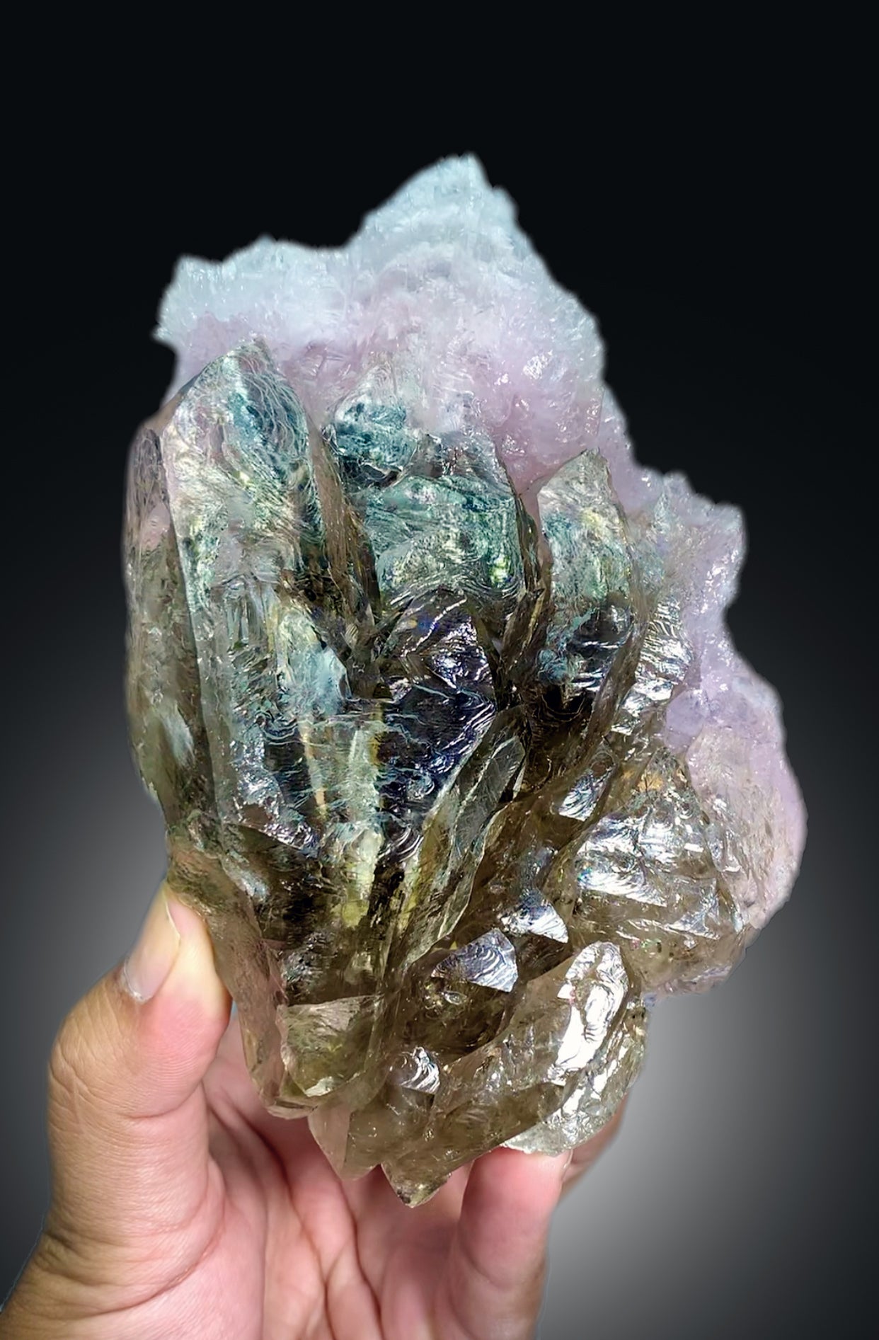 Natural Rose Quartz Strip on Lustrous Elestial Smoky Quartz from Paprok Afghanistan - 760 grams