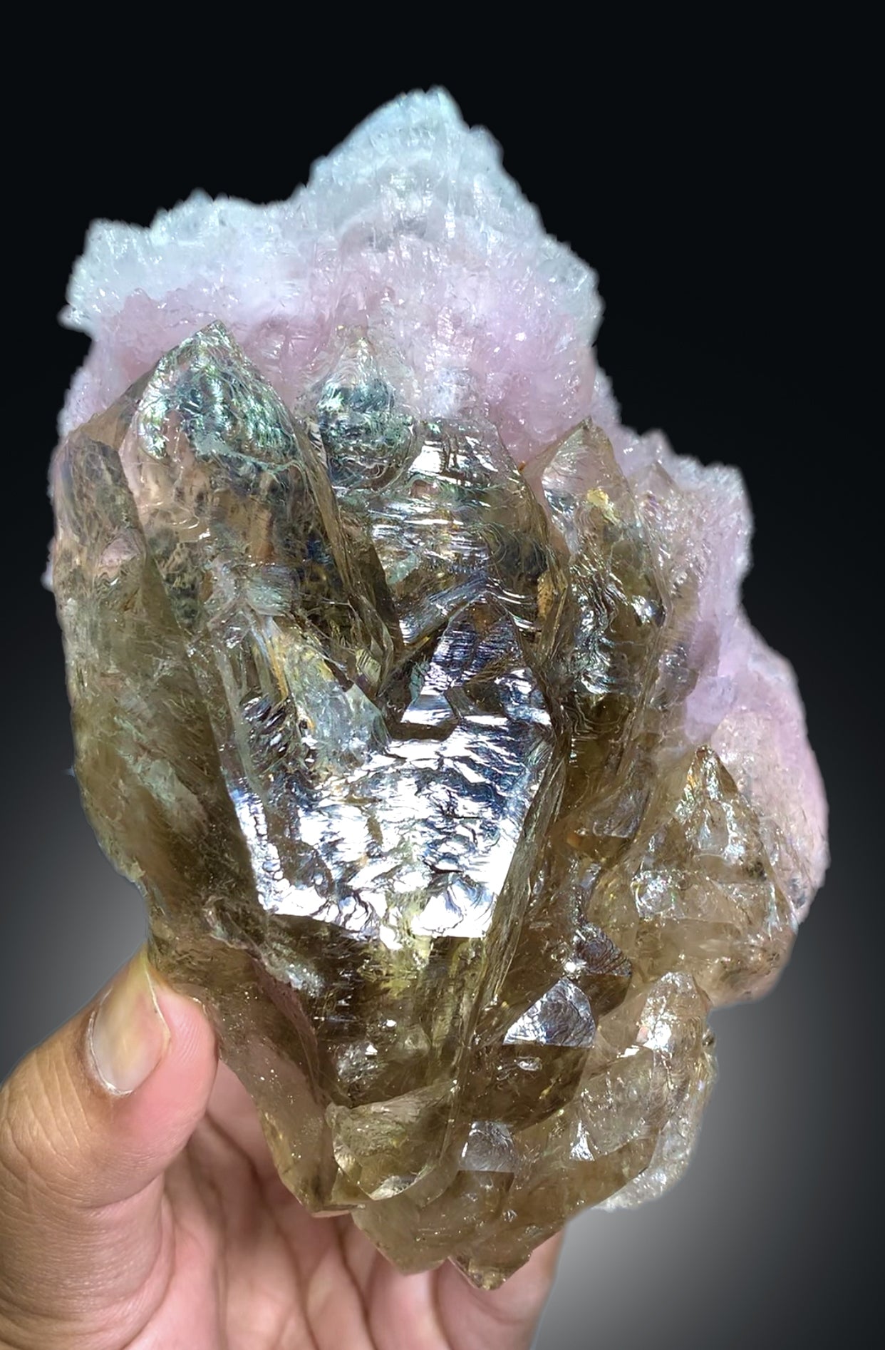 Natural Rose Quartz Strip on Lustrous Elestial Smoky Quartz from Paprok Afghanistan - 760 grams