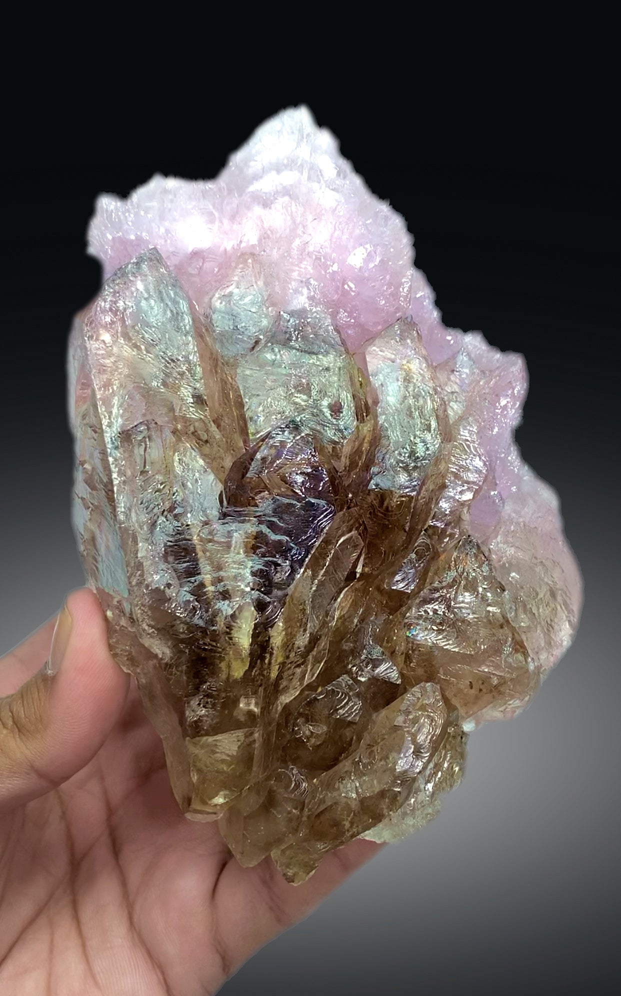 Natural Rose Quartz Strip on Lustrous Elestial Smoky Quartz from Paprok Afghanistan - 760 grams