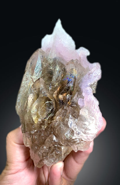 Natural Rose Quartz Strip on Lustrous Elestial Smoky Quartz from Paprok Afghanistan - 760 grams