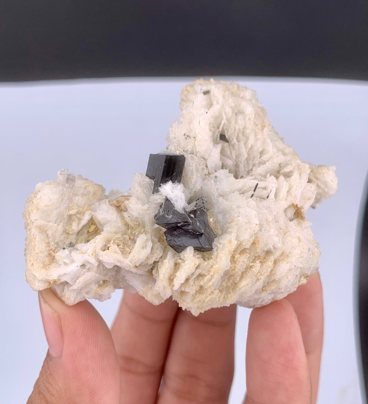 Rare Black Cassiterite Crystal With Tourmaline on Albite From Skardu Pakistan - 99 Grams