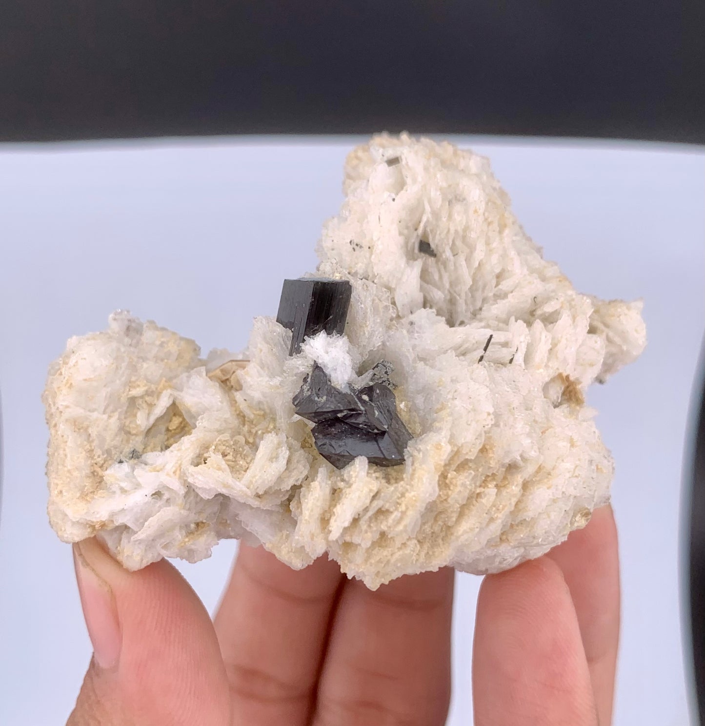 Rare Black Cassiterite Crystal With Tourmaline on Albite From Skardu Pakistan - 99 Grams