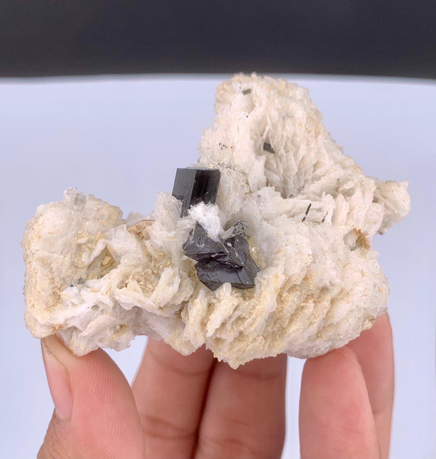 Rare Black Cassiterite Crystal With Tourmaline on Albite From Skardu Pakistan - 99 Grams