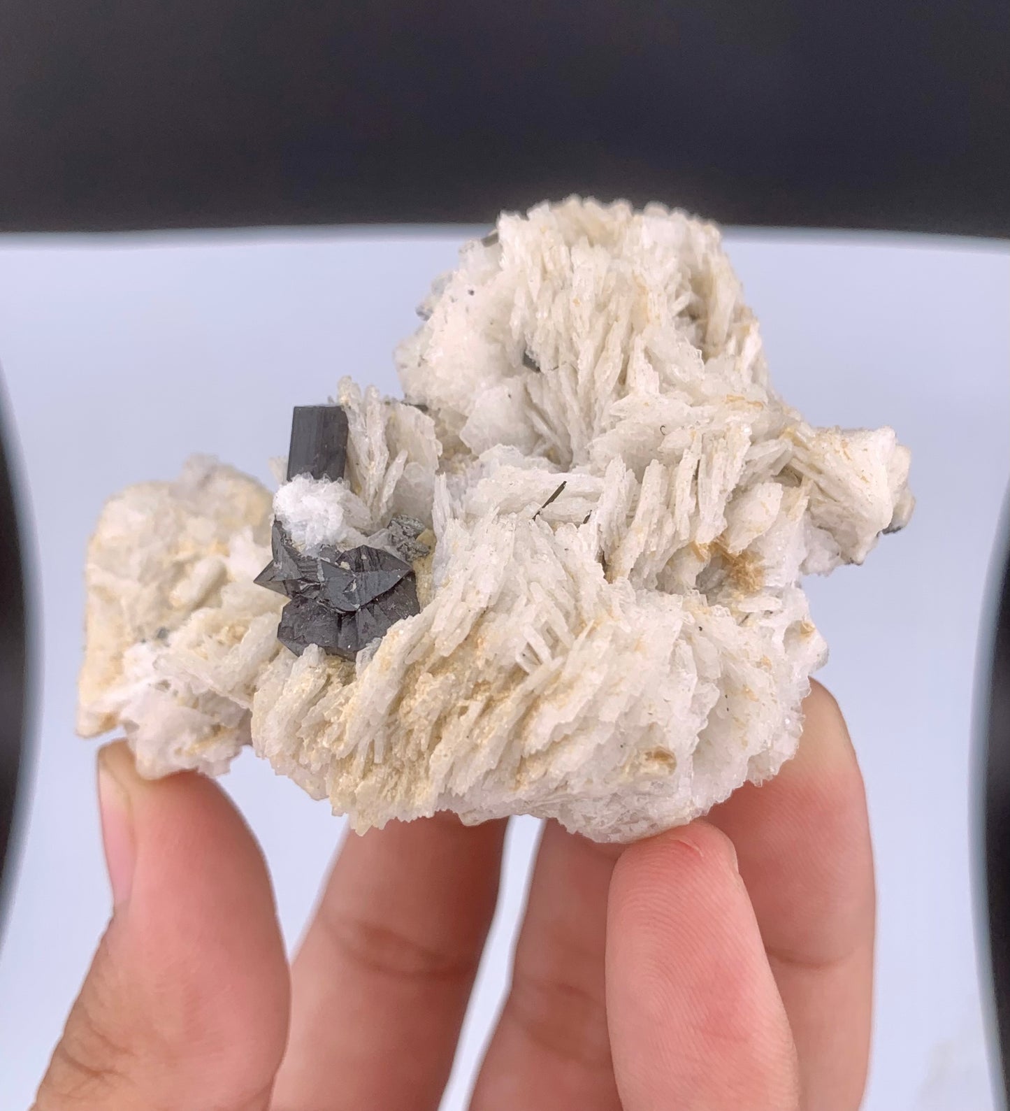 Rare Black Cassiterite Crystal With Tourmaline on Albite From Skardu Pakistan - 99 Grams