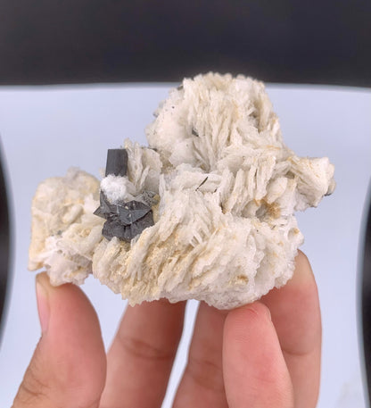 Rare Black Cassiterite Crystal With Tourmaline on Albite From Skardu Pakistan - 99 Grams